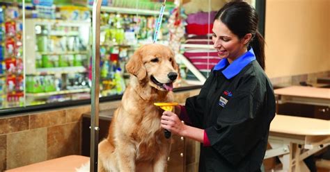 There are a lot of opportunities for community service there. . Working at petsmart